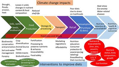 The impact of climate change on food systems, diet quality, nutrition, and health outcomes: A narrative review